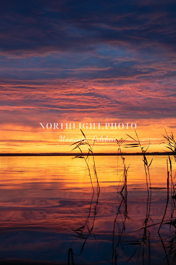 Sonnenaufgang im Salzhaff | Exklusive Landschaftsfotografien von der Ostsee, ganz Deutschland und dem Rest der Welt. Gedruckt auf hochwertigen Materialien. Die Welt an deiner Wand - jetzt im Northlight.Photo Shop bestellen. - Realisiert mit Pictrs.com