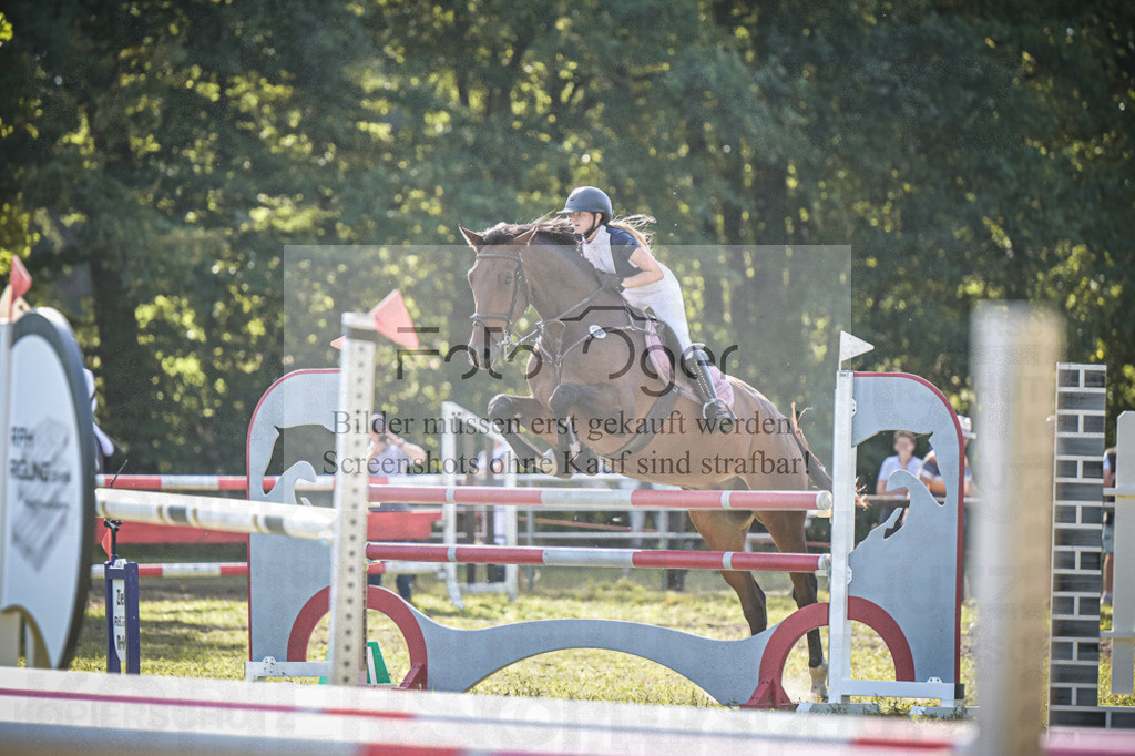 DOS_0184 | Entdecke hochwertige Reitturnierfotos von Foto Oger. Professionell, emotional und authentisch – jetzt Lieblingsmomente im Shop bestellen.Deutschlandweite Turnierfotografie. - Realisiert mit Pictrs.com