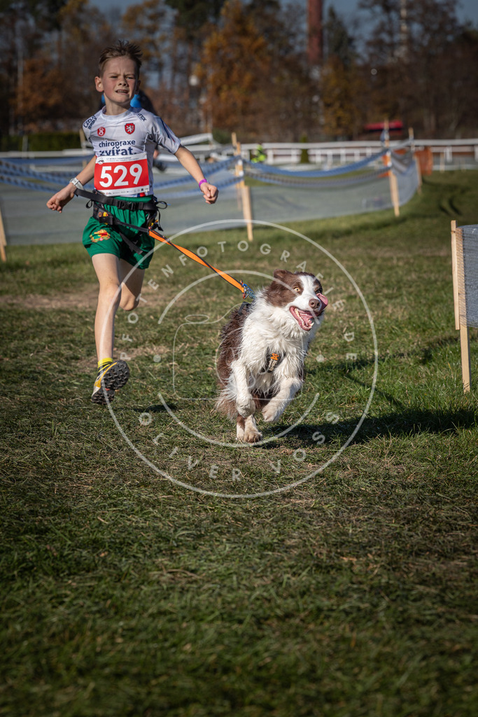 CaniXpix_0L8A7331 | Hundefotografie, Tierfotograf, Pfotenfotografie, Fotoshooting Hund, Hunde Portrait, Hundesport, Hundeportraits, Heideshooting, Hunde, Sportfotograf, Hundefotograf, Turnierhundsport, THS,  - Realisiert mit Pictrs.com