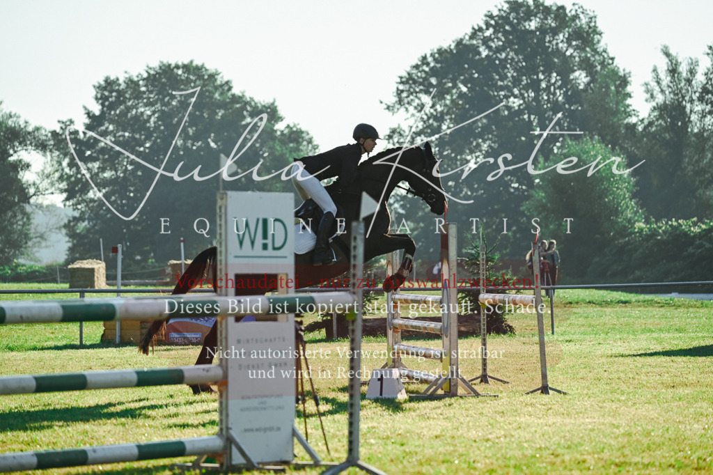 DSC_4173 | Pferde- und Turnierfotografie in Westsachsen. Pferdeportraits, Auftragszeichnungen und intuitive Kunst.