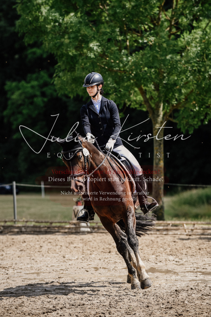 DSC_0820 | Pferde- und Turnierfotografie in Westsachsen. Pferdeportraits, Auftragszeichnungen und intuitive Kunst.