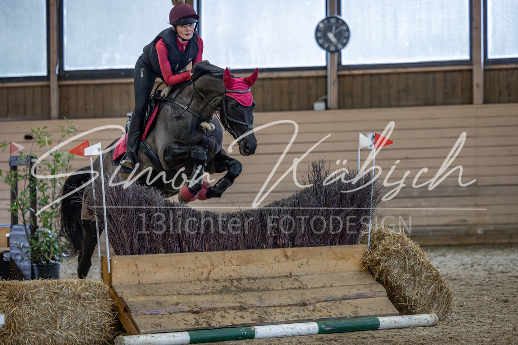 20260222-_3LI2319 | Tierfotografie Pferde, Hunde, Katzen, Haustiere.
Turnierfotografie Reitturniere, Reiten, Springreiten, Dressur in Hanau, dem Main-Kinzig-Kreis und dem Rhein-Main- Gebiet um Frankfurt