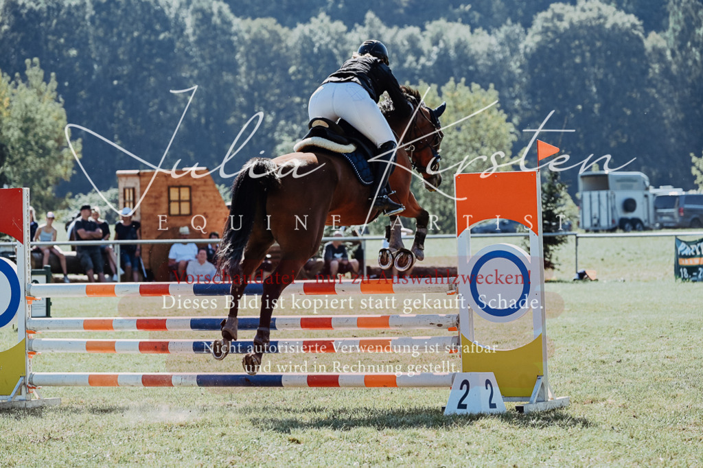 DSC_5785 | Pferde- und Turnierfotografie in Westsachsen. Pferdeportraits, Auftragszeichnungen und intuitive Kunst.