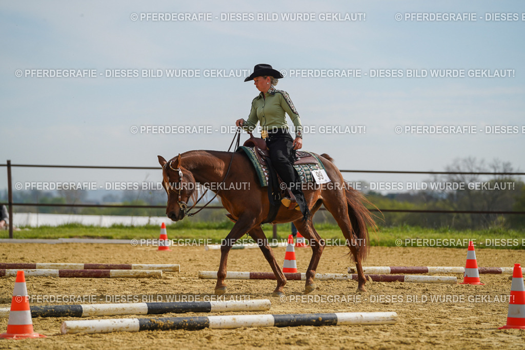 DSC01858 | Pferdegrafie