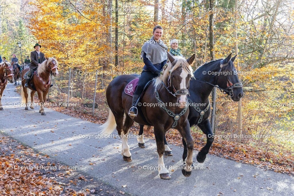 LL24-344 | foto-bettina-krinner - Realisiert mit Pictrs.com