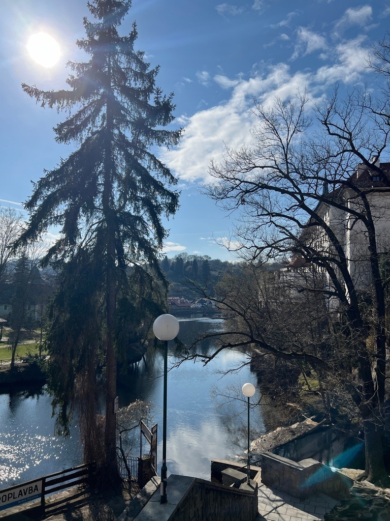 IMG_0743 | ace - Realisiert mit Pictrs.com