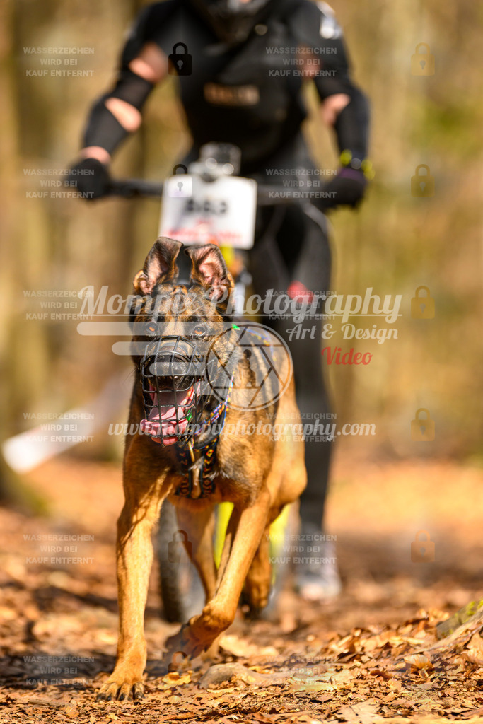 MompixPhotography_Habay2025_SA_SCO-69 | PayLife