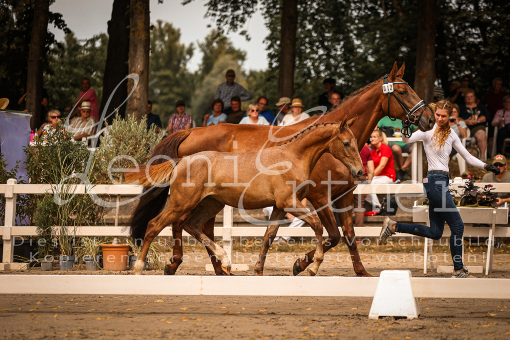 SaPA00167 | Leoni Ertmer Photography - Realisiert mit Pictrs.com