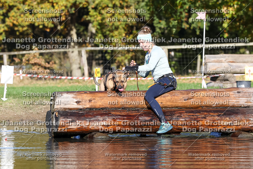 Dog Paparazzi - Strongdog 10-25-8872 | Dog Paparazzi Jeanette Grottendiek Fotografie & Videografie - Realisiert mit Pictrs.com