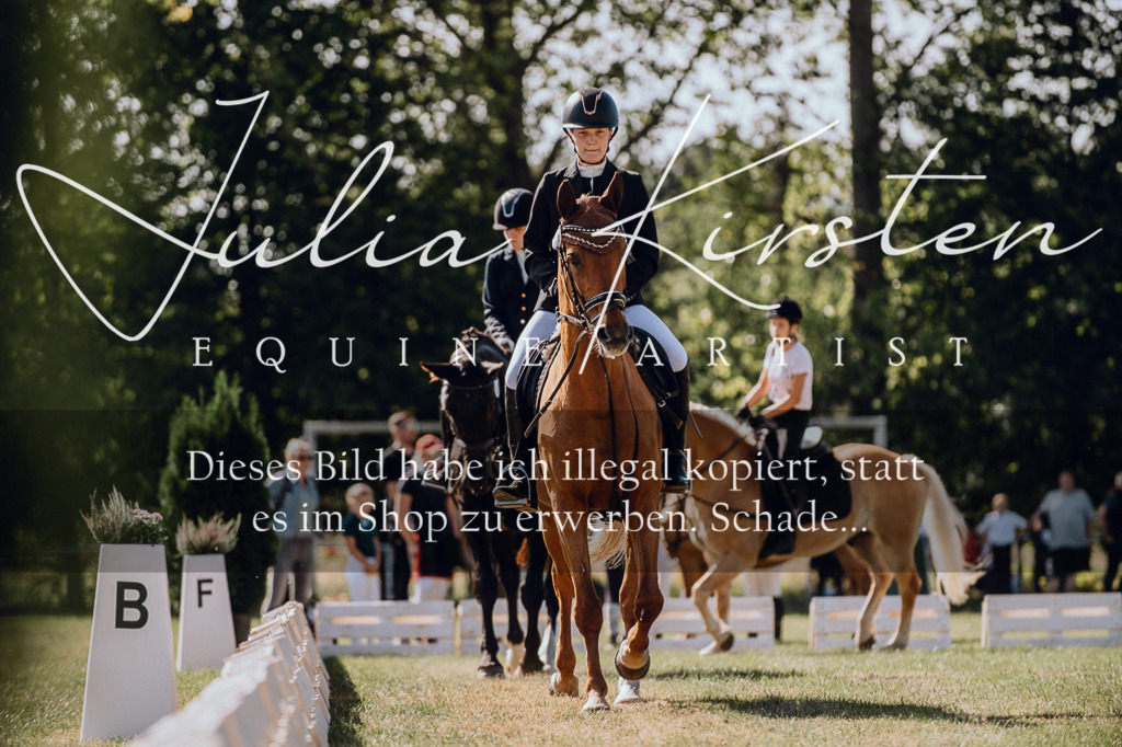 DSC_7172 | Pferde- und Turnierfotografie in Westsachsen. Pferdeportraits, Auftragszeichnungen und intuitive Kunst.