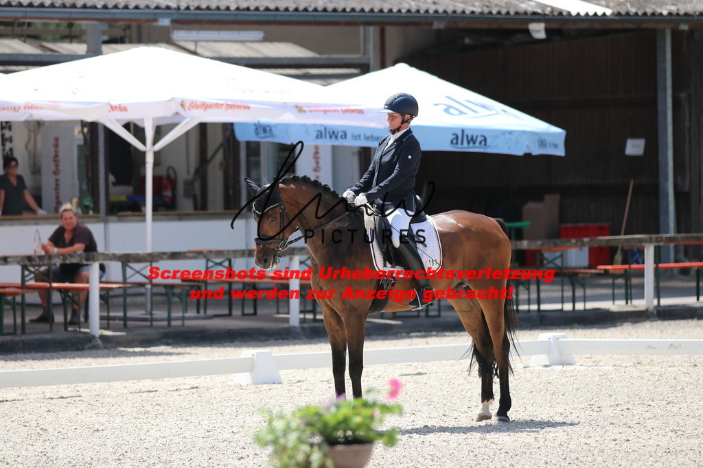 IMG_4601 | lmwpictures - Realisiert mit Pictrs.com