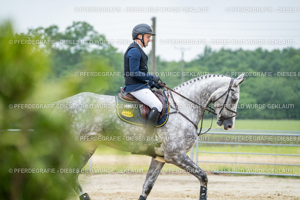 DSC02015 | Pferdegrafie