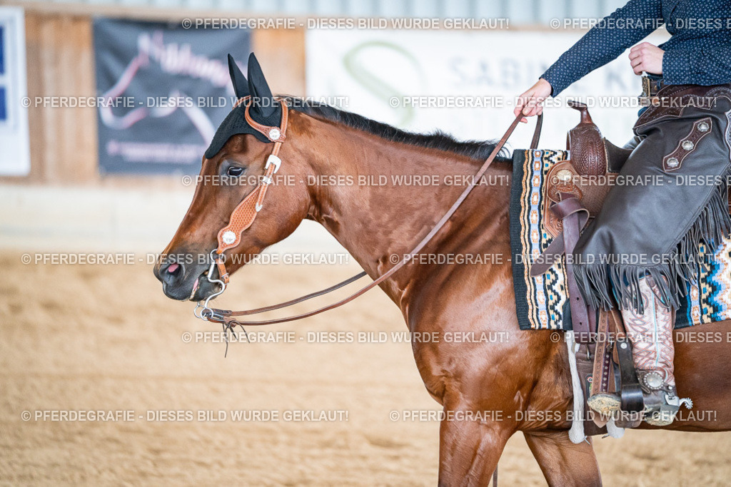 DSC08469 | Pferdegrafie