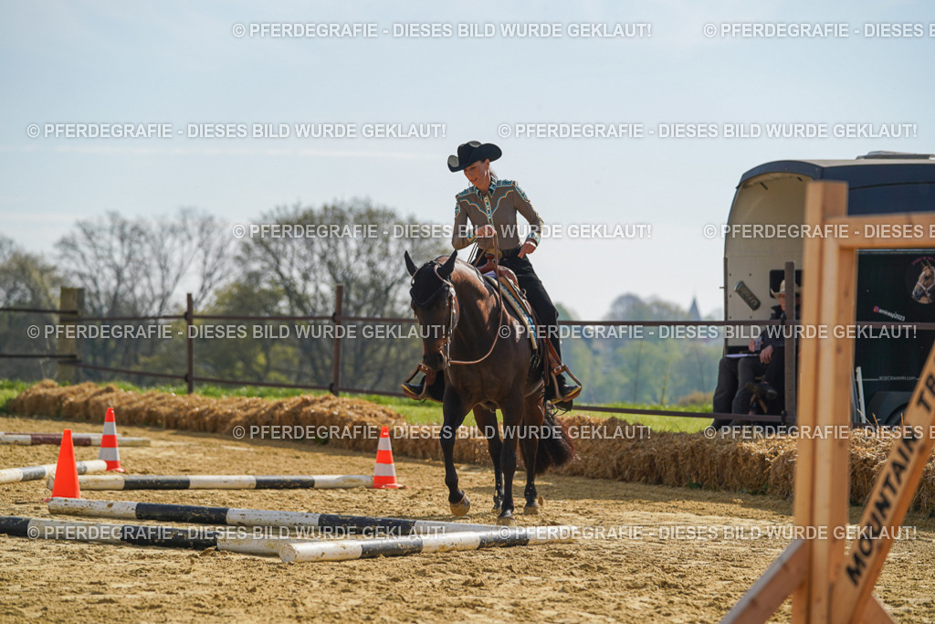 DSC01335 | Pferdegrafie