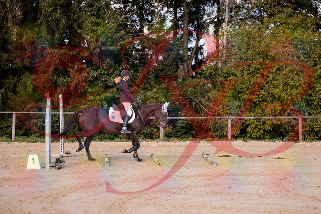 2026_10_03_Siefer-Hof_145846_Z81_40316108 | Professionelle Reitsport-, Turnier- und Eventfotografie von Robert Broda. Galerien mit ausgewählten und bearbeiteten Bildern direkt online ansehen und bestellen.