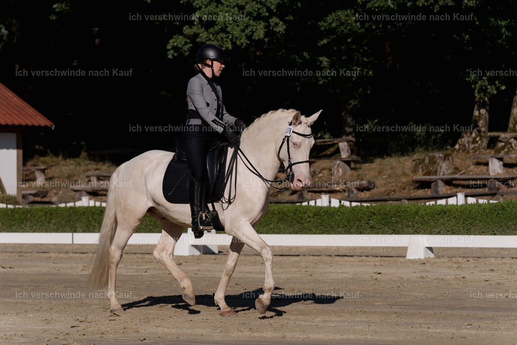 WM_DR_76_sinafilmart_IN04423 | working equitationturnier fotograf videograf stoibphotography marixx film working equitation deutschland reitsport turnierfotografie eventfotografie equestrian events