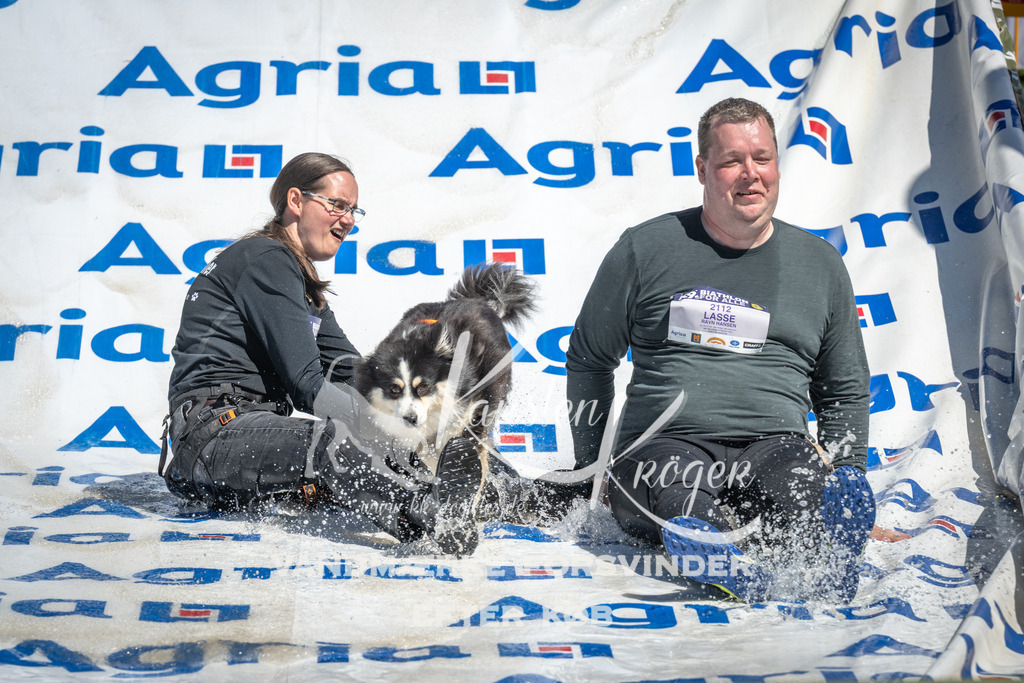 1308_ZZ98549 | kk-dogfotos