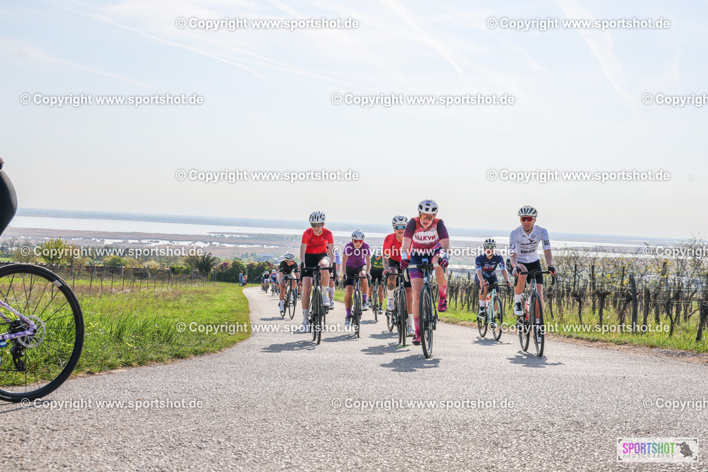 007A9190 | Neusiedlersee Radmarathon #neusiedlerseeradmarathon #neusiedlersee #nrm26 #yourpictrs #sportshot_your_pictrs
