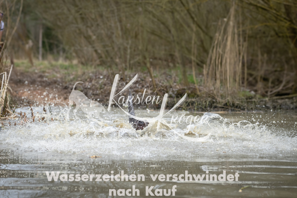 1457_ZZ91350 | kk-dogfotos