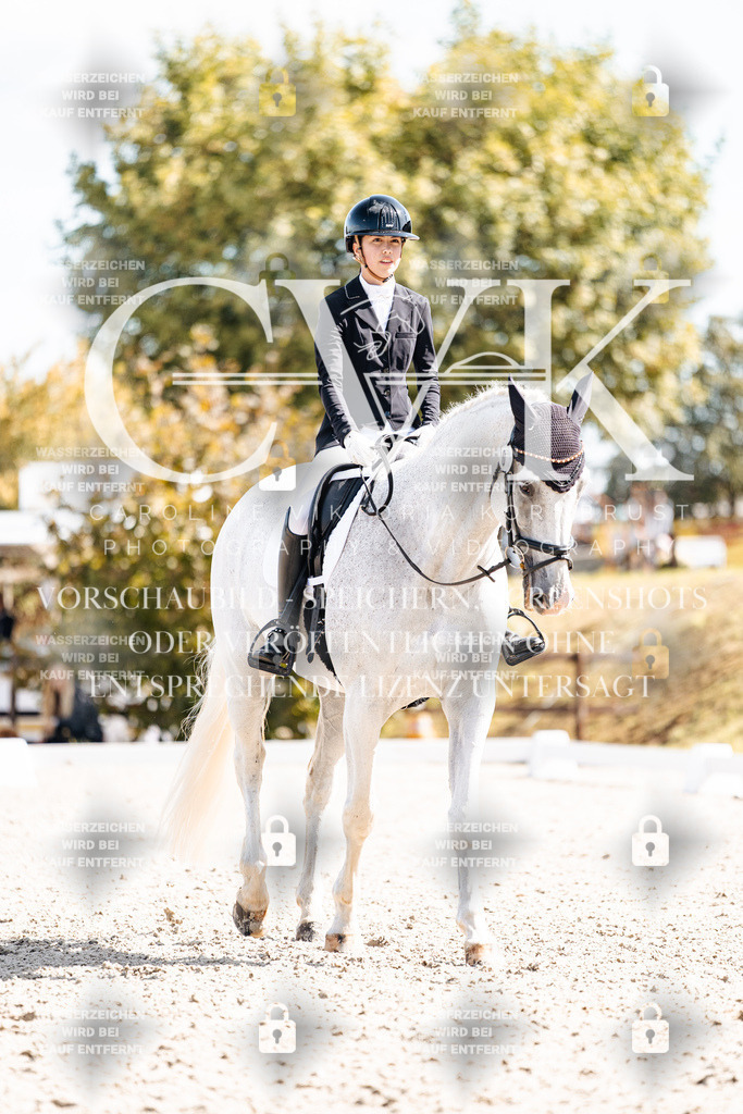 CK903019 | Turnierfotografie Pferdefotografie Trier Rheinland-Pfalz Pferdesport Reitsport Tierfotografie Sportfotografie Pferdevideo Pferdevideografie Equestrianvideography equestrianphotography  - Realisiert mit Pictrs.com