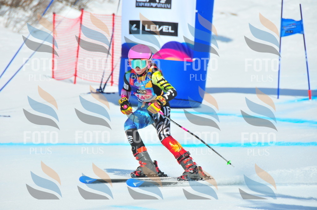 DSC_5070 | holidayphoto