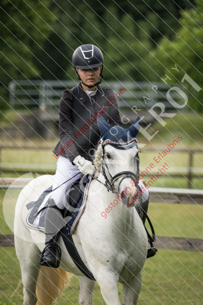 IMG_2528 | Sport-, Event- und Tierfotos in Profiqualität. Einfach auswählen, bestellen und herunterladen. Dein Moment – perfekt festgehalten.