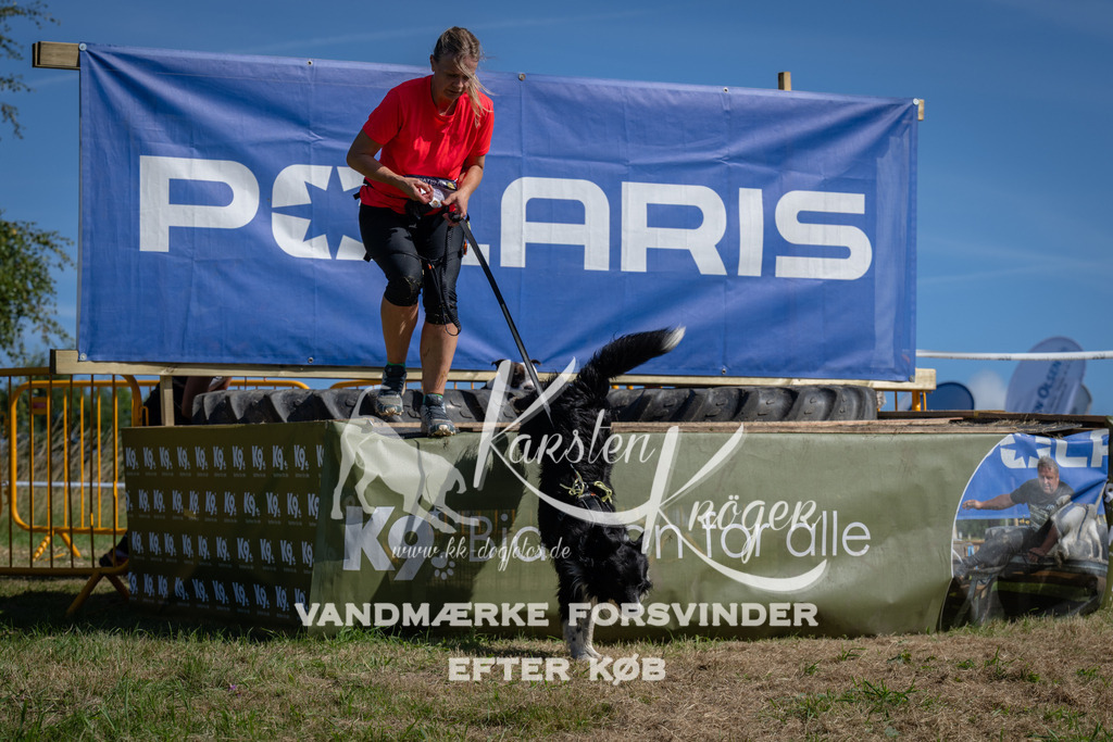 1107_ZZ90679 | kk-dogfotos