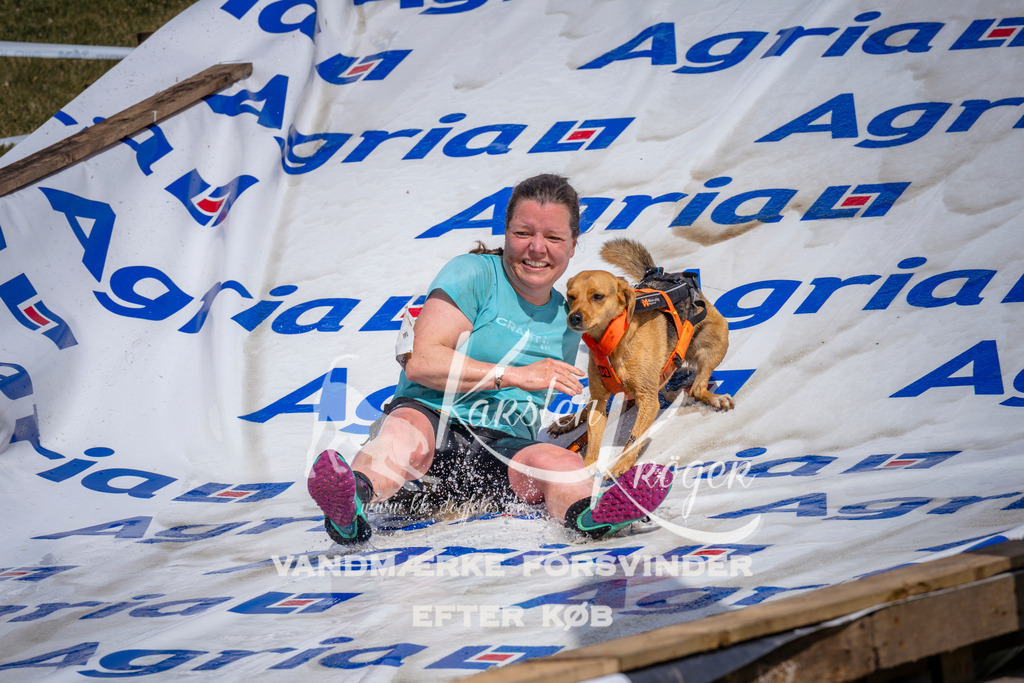 _ZZ927600929 | kk-dogfotos