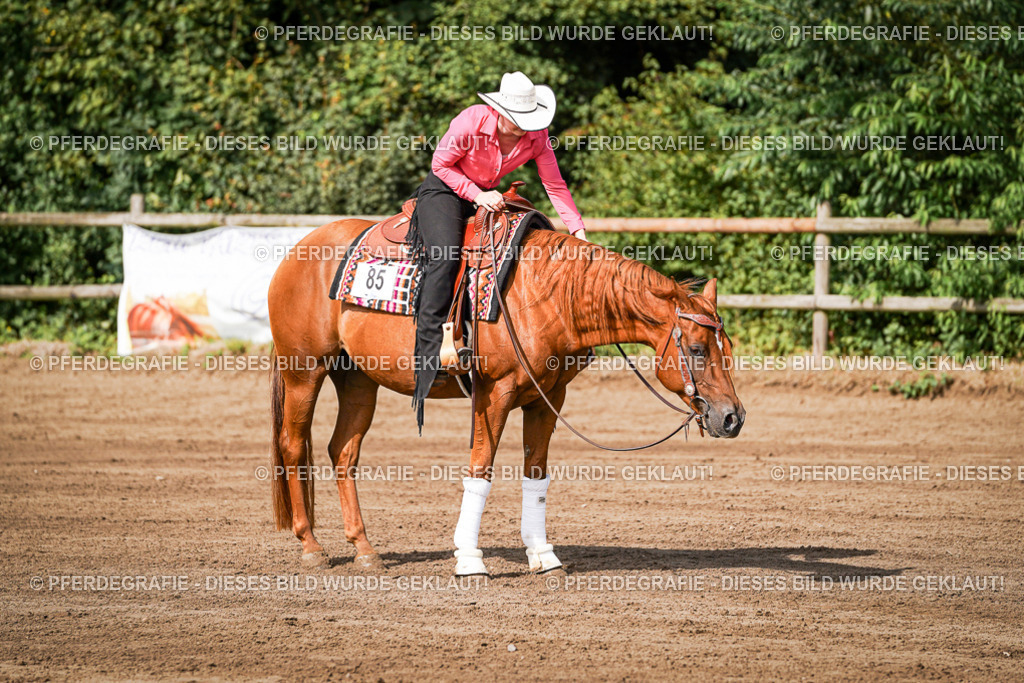 DSC09476 | Pferdegrafie