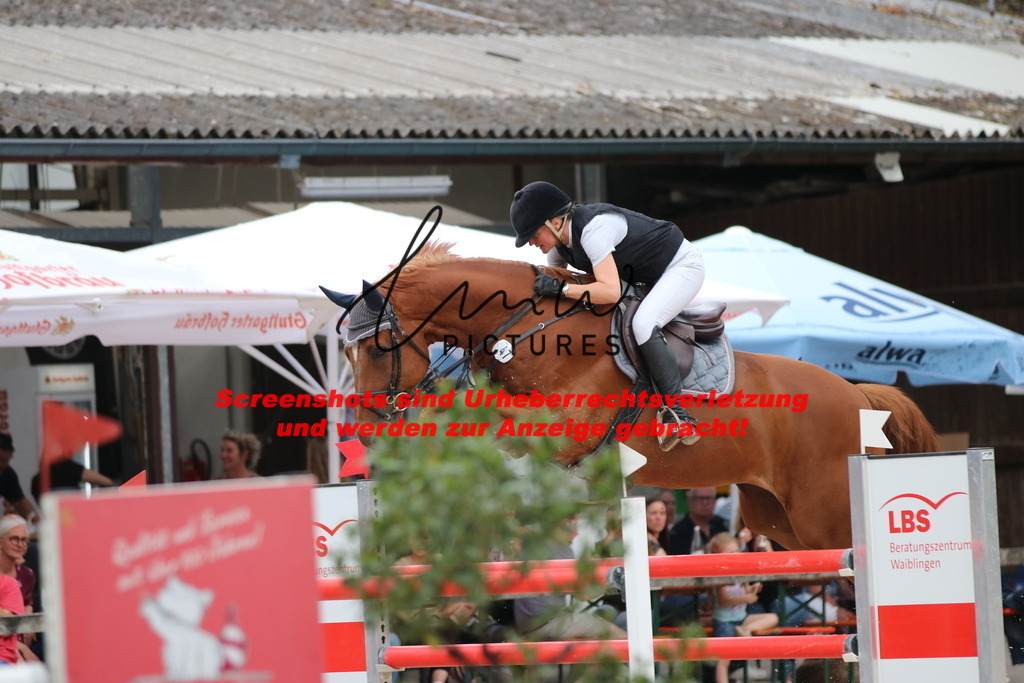 IMG_2673 | lmwpictures - Realisiert mit Pictrs.com