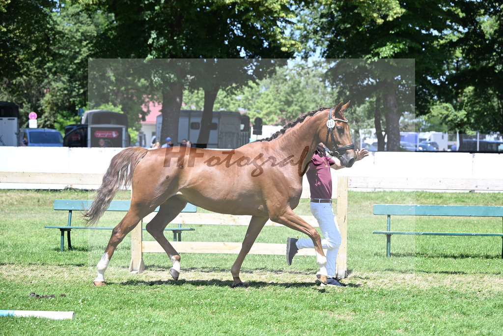 Kat-Nr. 27 Davina v. F-D avie_Luniak_19250520 | hf-fotografie - Realizzato con Pictrs.com