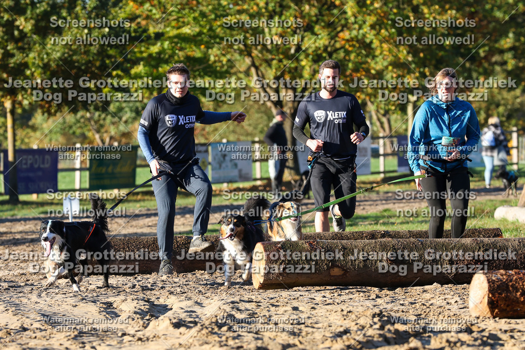 Dog Paparazzi - Strongdog 10-25-942 | Dog Paparazzi Jeanette Grottendiek Fotografie & Videografie - Realisiert mit Pictrs.com