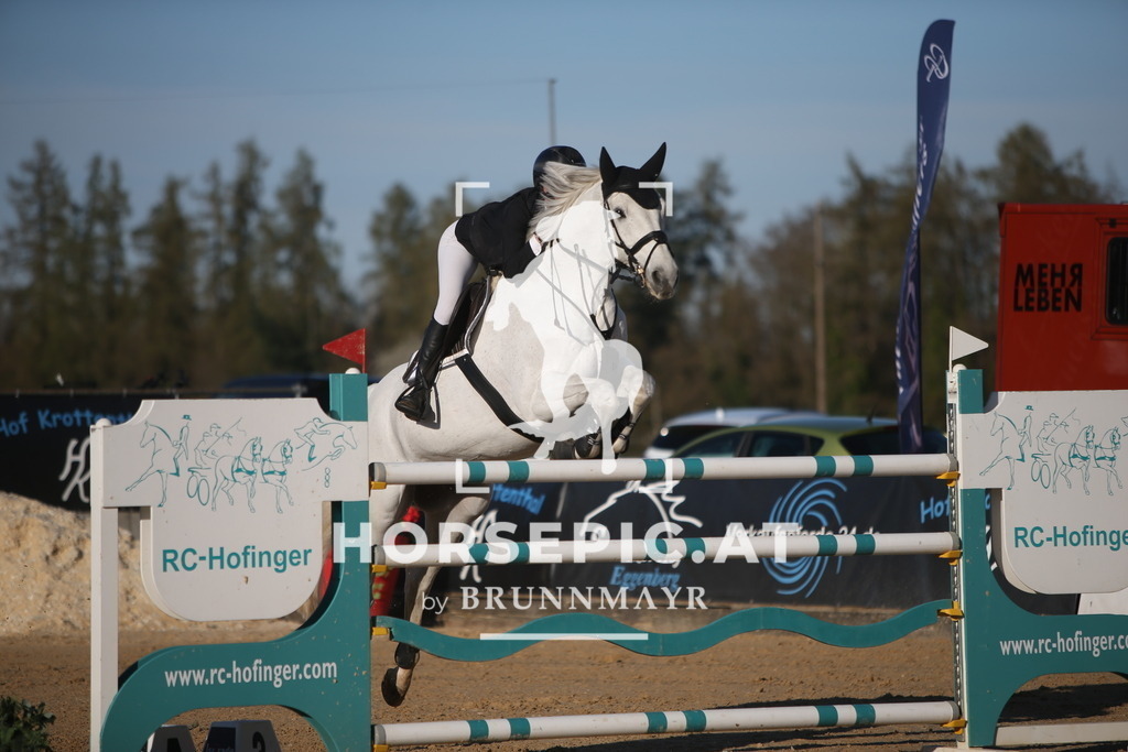 PP015995 | Willkommen bei Brunnmayr - Design & Fotografie – Ihrem Spezialisten für Reitturniere und Pferdeveranstaltungen in Oberösterreich, Salzburg und Bayern! Seit über 17 Jahren sind wir leidenschaftlich dabei.