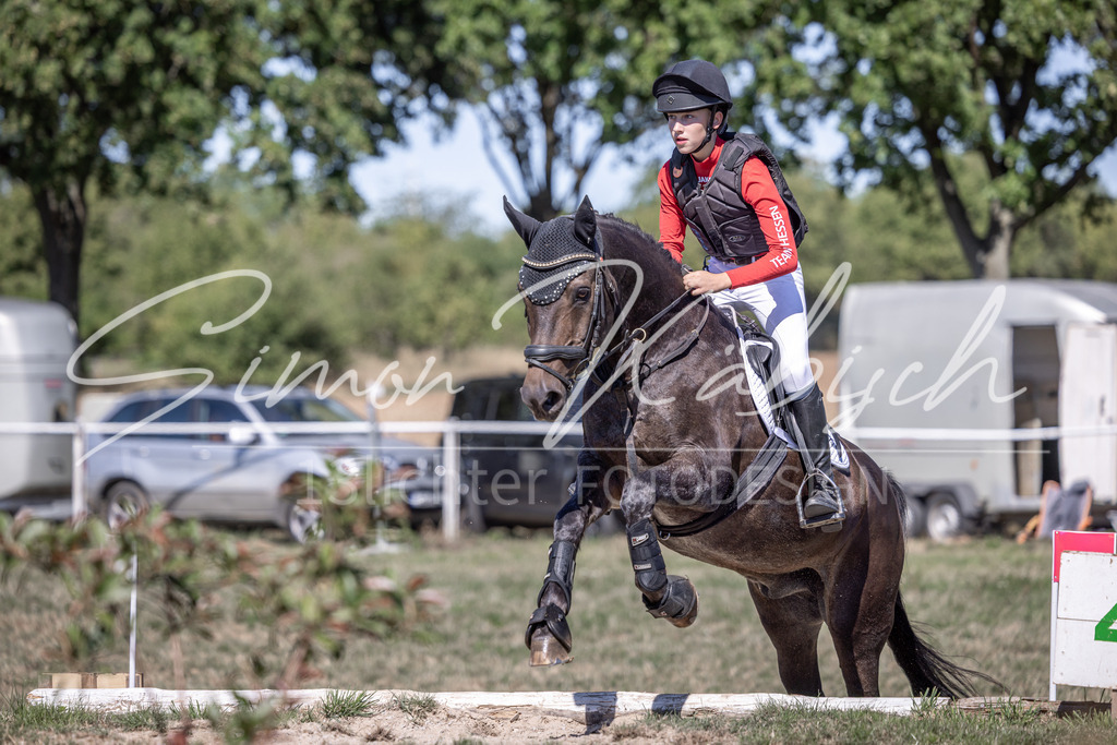 20260906-_3LI3438 | Tierfotografie Pferde, Hunde, Katzen, Haustiere.
Turnierfotografie Reitturniere, Reiten, Springreiten, Dressur in Hanau, dem Main-Kinzig-Kreis und dem Rhein-Main- Gebiet um Frankfurt