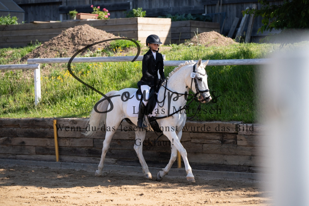 A7V07654 | Pferdefotograf