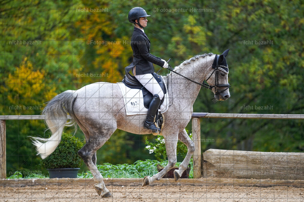 20221008-FAH00686 | Diessen am Ammersee, 2022, Dressur- und Springturnier, Reitsportbilder, Turnierfotografen Bayern, Pferdefotografen, Fotoagentur Herrmann, Turnierbilder