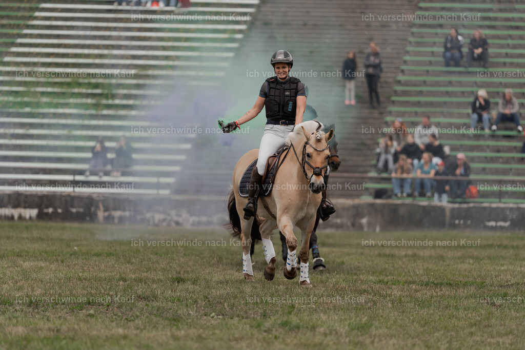 Showprogramm-397 | working equitationturnier fotograf videograf stoibphotography marixx film working equitation deutschland reitsport turnierfotografie eventfotografie equestrian events