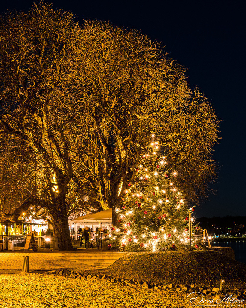Weihnachten in Mainz | Bilder mit Weihnachtsstimmung aus Mainz am Rhein