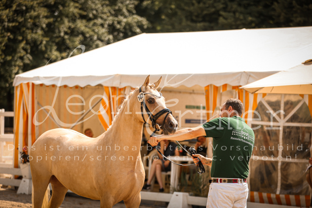 11.So00093 | Leoni Ertmer Photography - Realisiert mit Pictrs.com