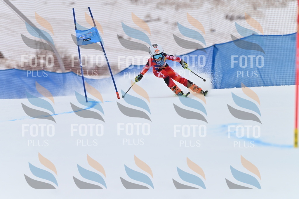 BGV_2021 | holidayphoto