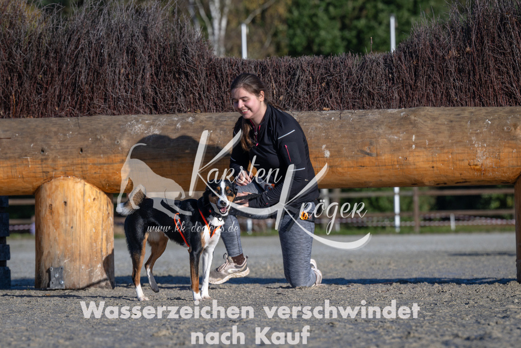 1017-_ZZ90572 | kk-dogfotos
