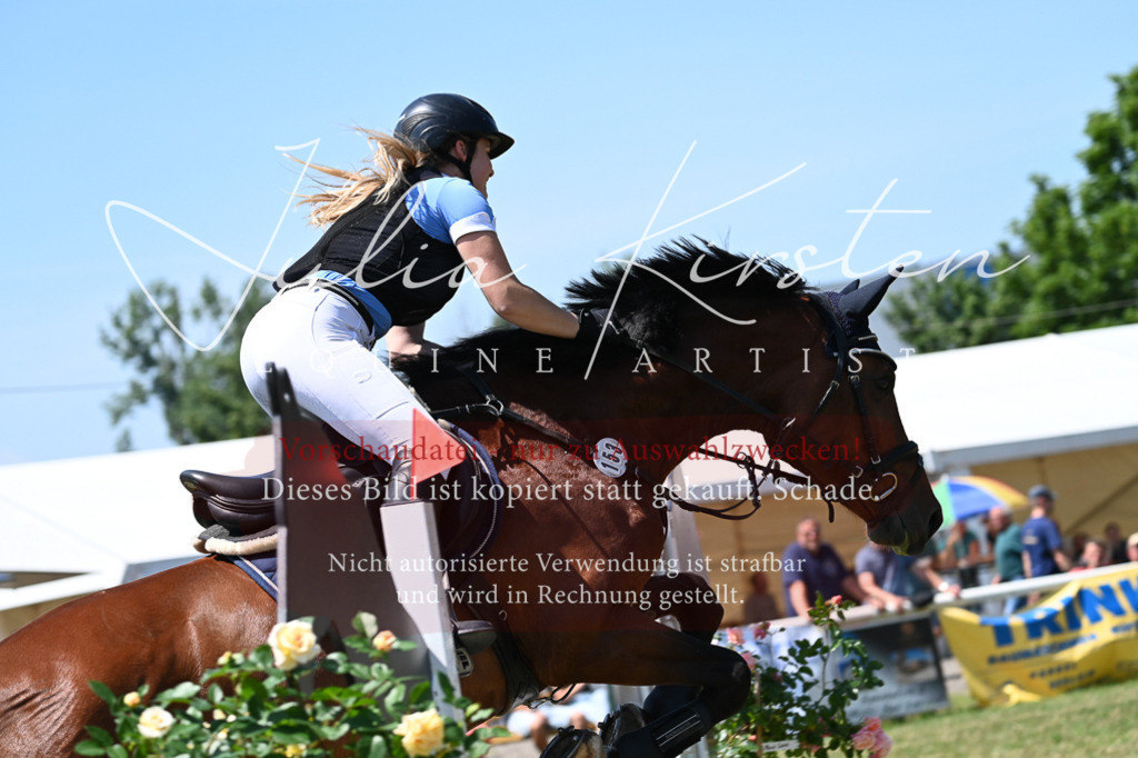 DSC_0669 | Pferde- und Turnierfotografie in Westsachsen. Pferdeportraits, Auftragszeichnungen und intuitive Kunst.