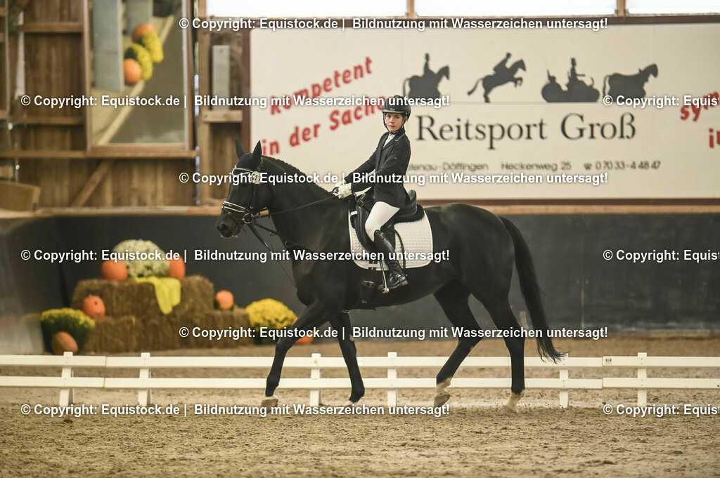 20231029_02_Reiter-WB_Schritt-Trab_Abteilung-02_0009 | Foto: Thomas Hartig