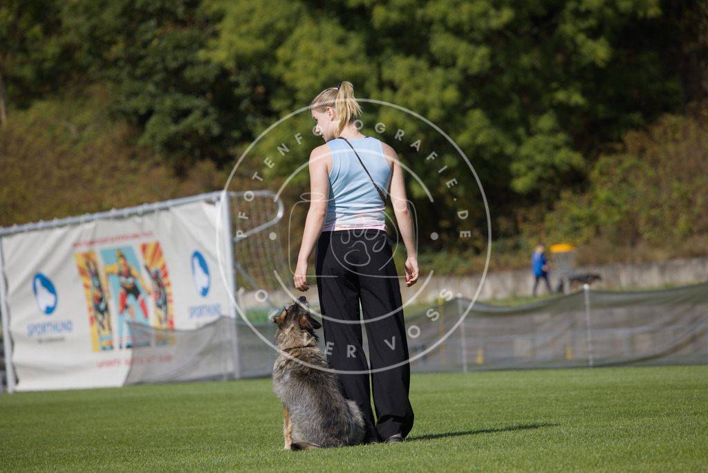0L8A2544 | Hundefotografie, Tierfotograf, Pfotenfotografie, Fotoshooting Hund, Hunde Portrait, Hundesport, Hundeportraits, Heideshooting, Hunde, Sportfotograf, Hundefotograf, Turnierhundsport, THS,  - Realisiert mit Pictrs.com