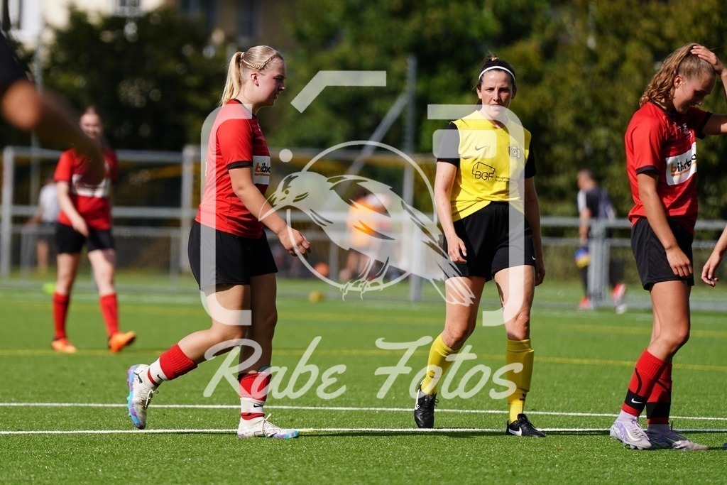 SON09242 | rabefotos