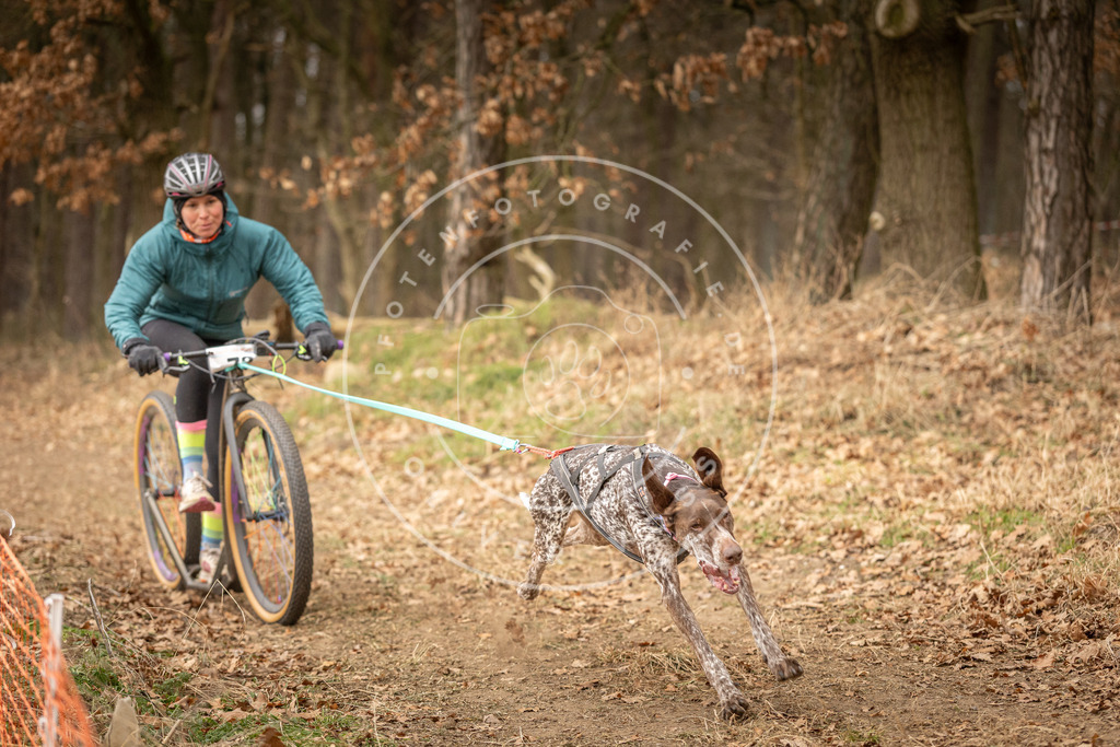 Pfotenfotografie_DV3A3945 | Hundefotografie, Tierfotograf, Pfotenfotografie, Fotoshooting Hund, Hunde Portrait, Hundesport, Hundeportraits, Heideshooting, Hunde, Sportfotograf, Hundefotograf, Turnierhundsport, THS,  - Realisiert mit Pictrs.com