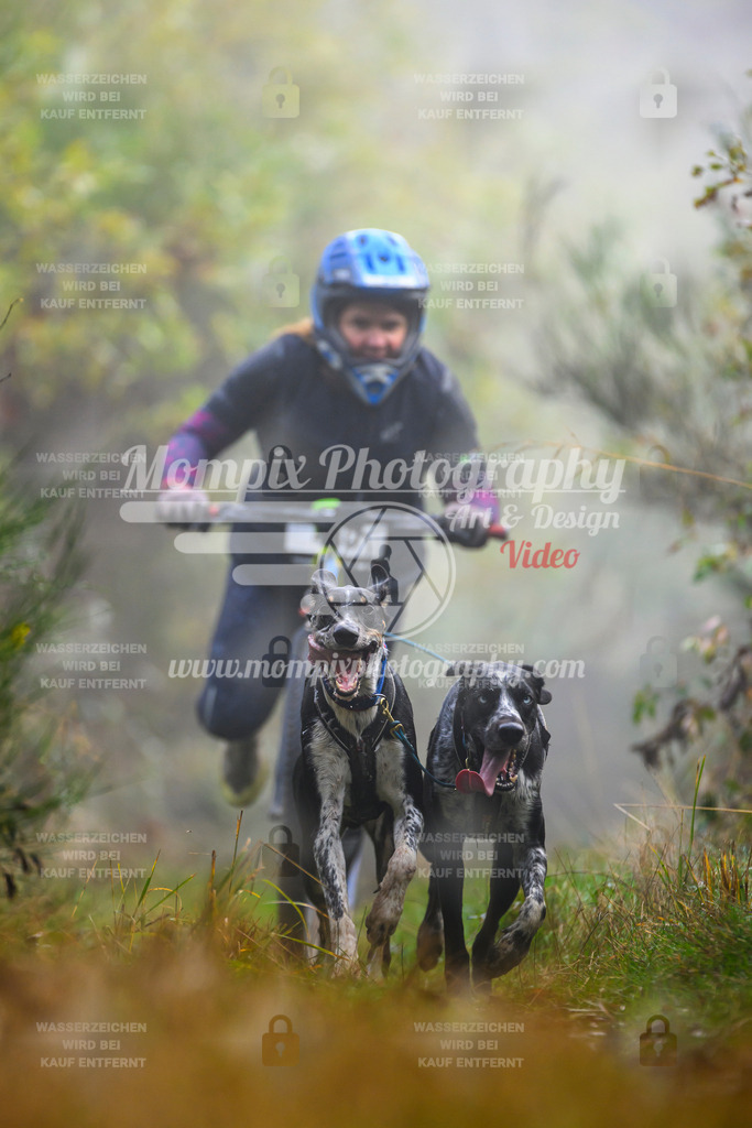 MompixPhotography_20TSB_E4_DS2-16 | PayLife