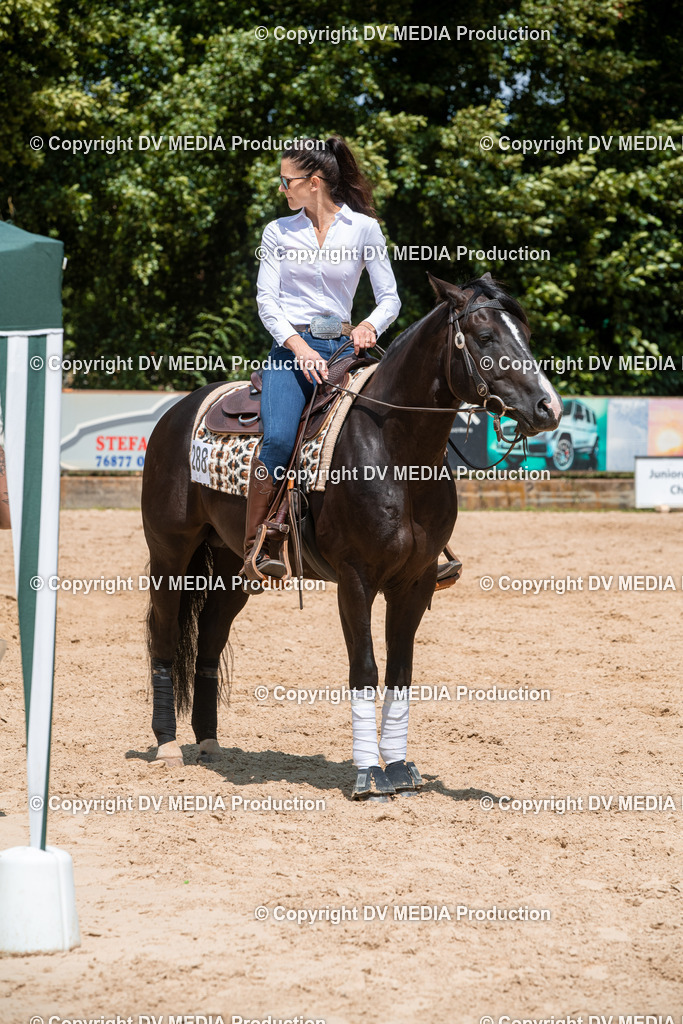 ZS3_9858 | dv-media-shop - Realisiert mit Pictrs.com