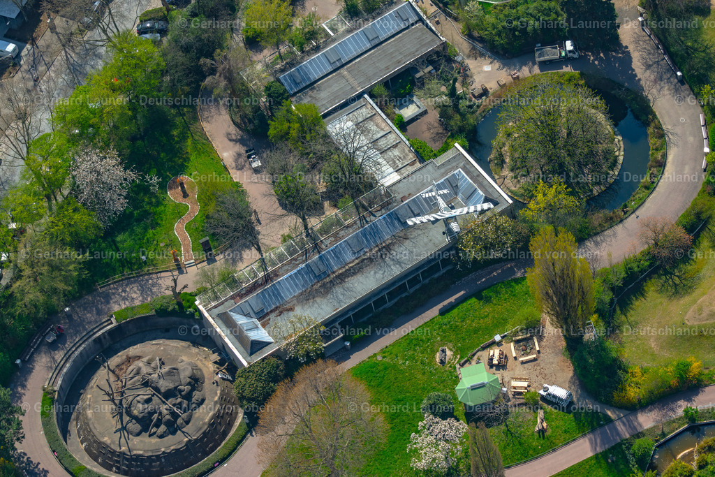 4020105 | Zoo, Frankfurt am Main