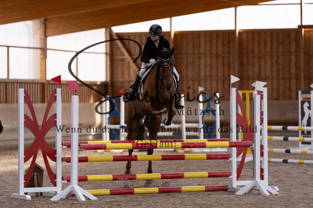 A7507730 | Pferdefotograf